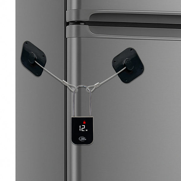 Timed lock for refrigerators, cabinets & drawers