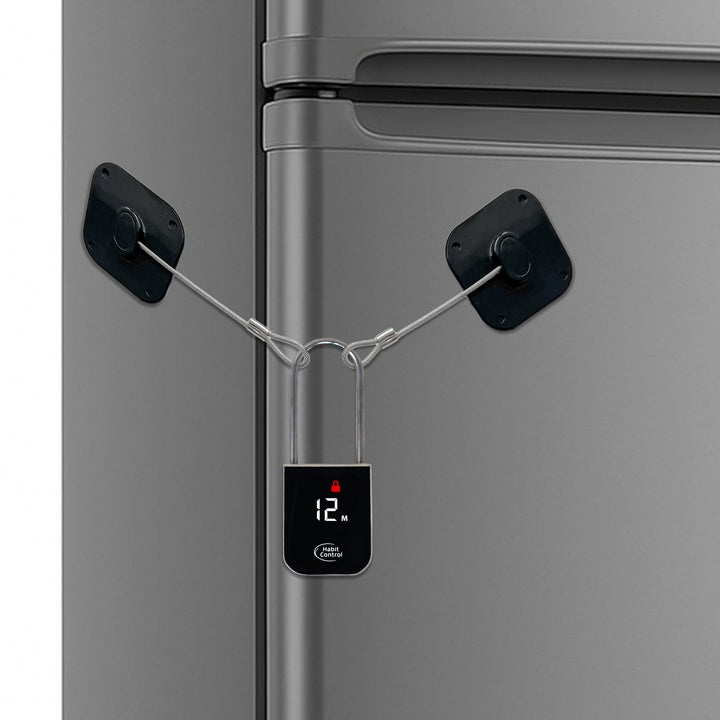 Timed lock for refrigerators, cabinets & drawers