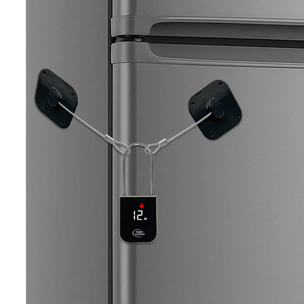 Timed lock for refrigerators, cabinets & drawers
