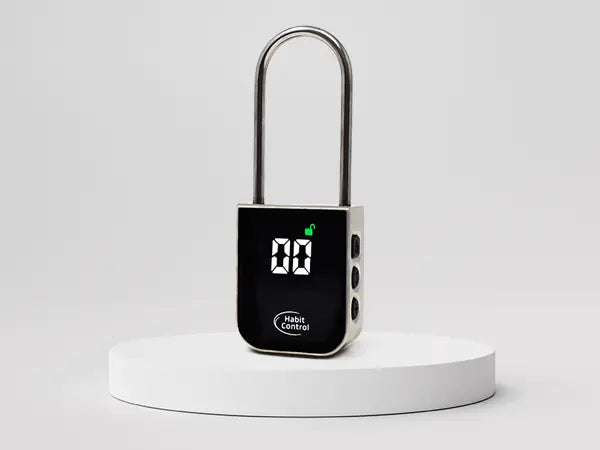 Timed lock for cabinets, drawers and refrigerators
