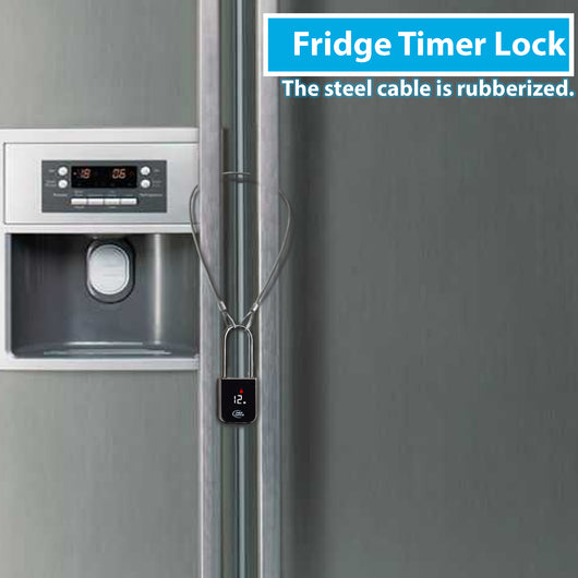 Time lock for double door refrigerator